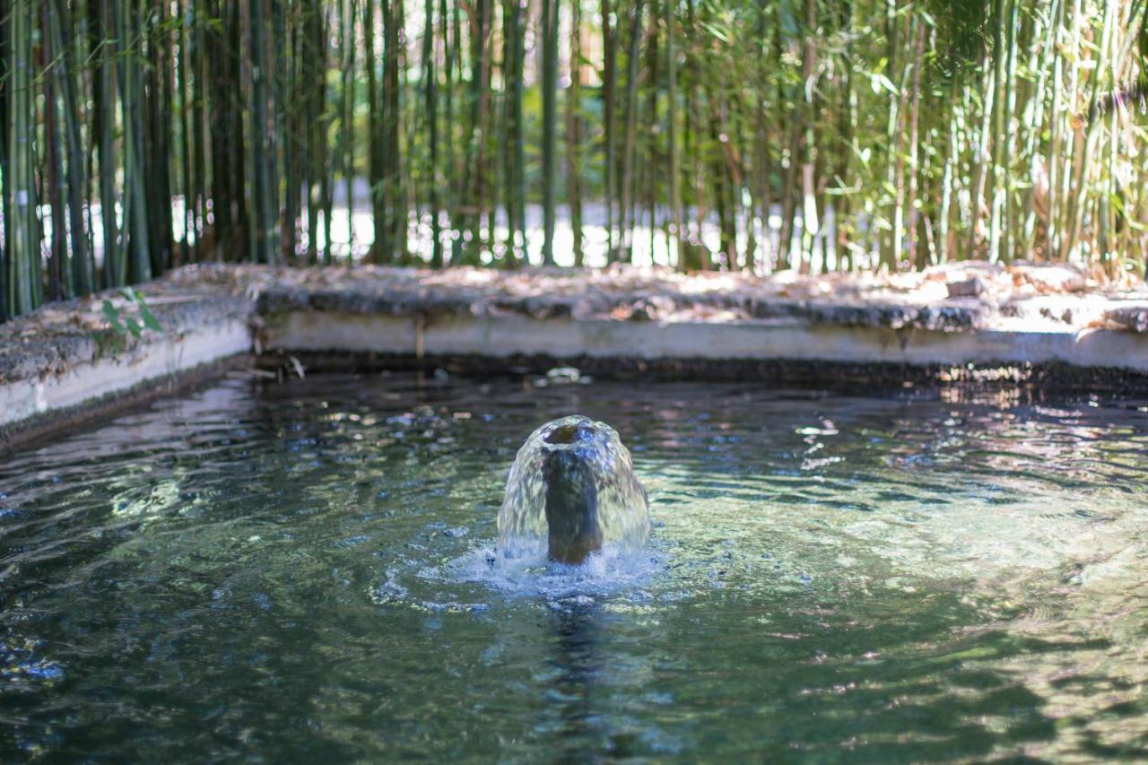 Las Aguas Del Arbuniel Con Pista De Padel Dış mekan fotoğraf